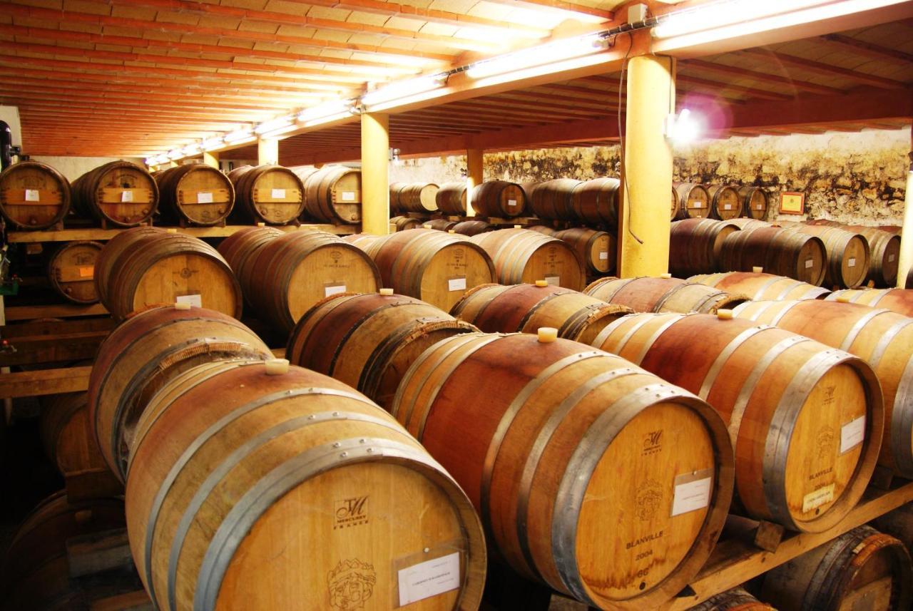 Chateau Rieutort Gites Saint-Pargoire 外观 照片